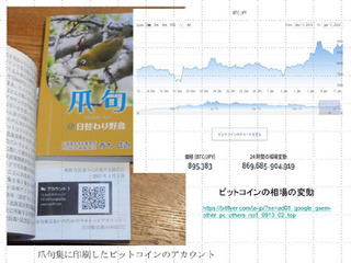 ビットコイン定価爪句集A.jpg